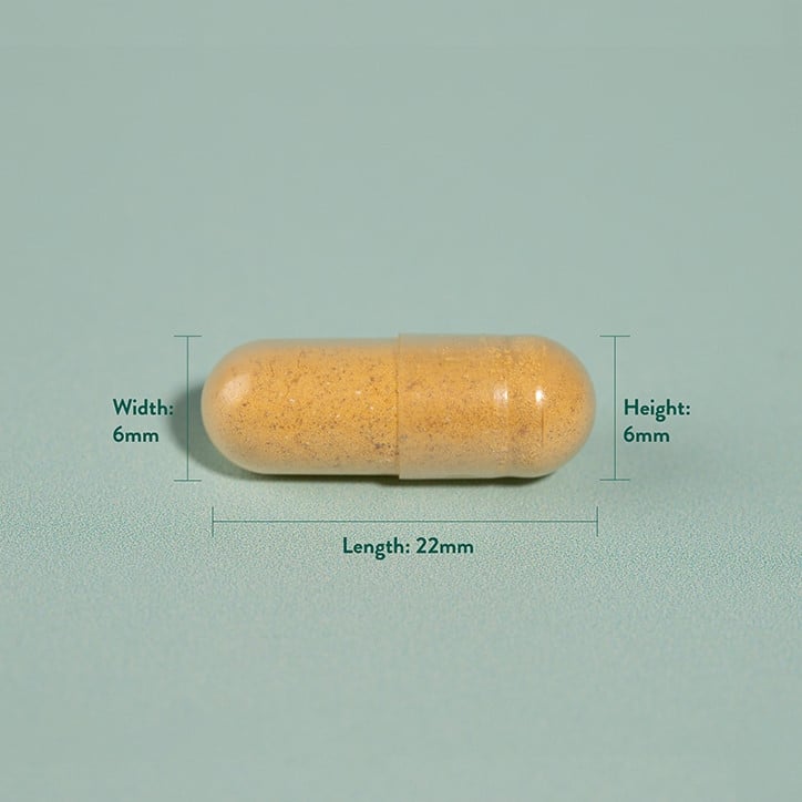 Куркума (Turmeric) 500мг 90 капсули, H&B - Feel You