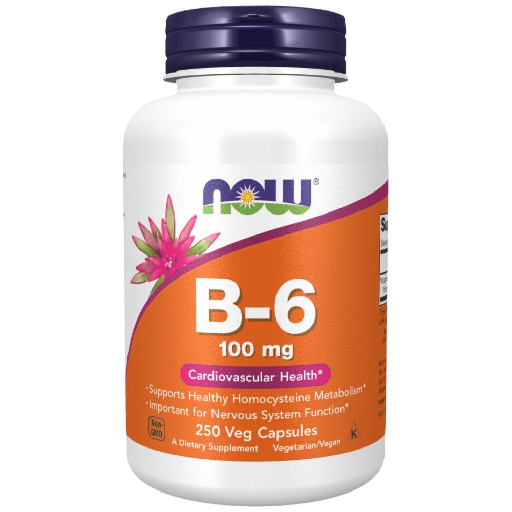 Vitamin B-6 100 mg - 250 капсули - Feel You
