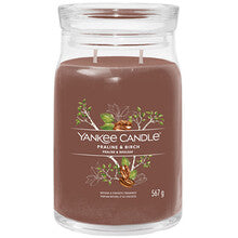 Yankee Candle - Praline & Birch Signature Candle (praline and birch) - 368.0g - Feel You