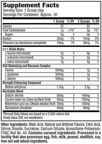 Amino Build - Next Gen 276 грама - Feel You