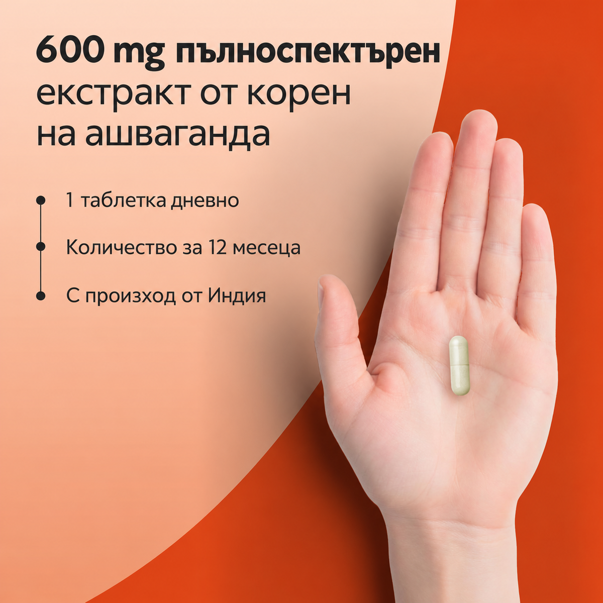 Ашваганда екстракт 10:1 – 365 таблетки, опаковка за 1 година