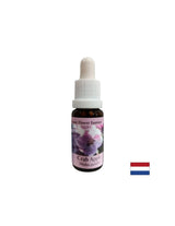 Детоксикация - Есенция Дива ябълка № 10, капки 15 ml - Feel You