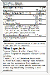 100% Free Form BCAA / 200 Caps - Feel You