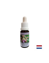 Създава настроение и радост - Есенция Весела Орхидея № 11, капки 15 ml - Feel You