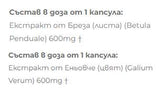 Брезеньовче | Екстракт от Бреза + Еньовче - 2 x 60 капсули - Feel You