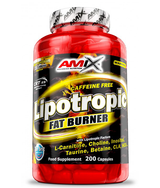 Lipotropic Fat Burner / 200 Caps