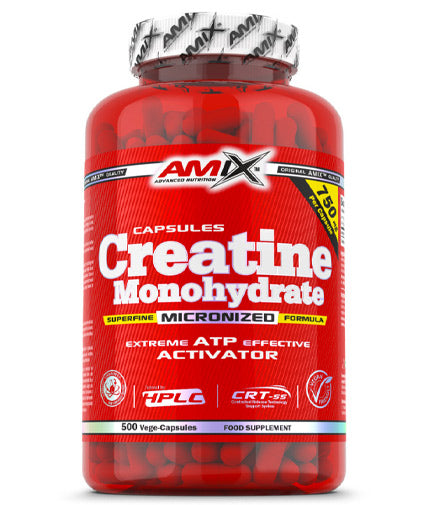 Creatine Monohydrate / 500 Caps