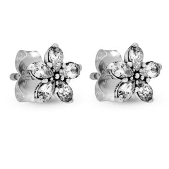 Pandora Timeless 299239C01