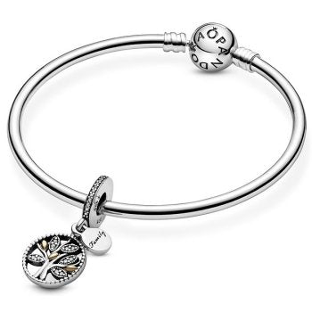 Pandora Moments 791728CZ