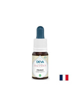 Страх и несигурност - Джанка, капки по метода на Бах, 15 ml - Feel You