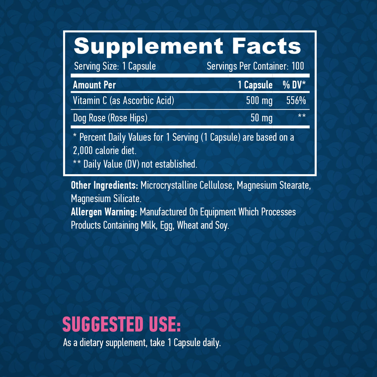 Vitamin C with Rose Hips 500mg / 100 Caps. - Feel You