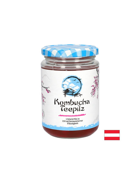 Подсилва имунитета - Комбуча Чаена гъба с ферментирал плодов чай, 200 ml - Feel You