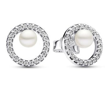 Pandora Timeless 293154C01