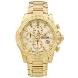 Festina Timeless Chronograph 20705/2