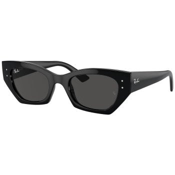Ray-Ban RB4430 667787 49