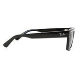 Ray-Ban Warren RB4396 667787 57