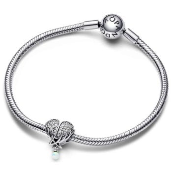 Pandora Moments 792980C01