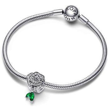 Pandora Moments 793201C01