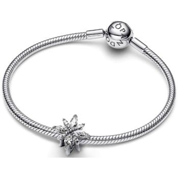 Pandora Moments 793591C01