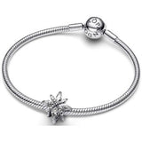 Pandora Moments 793591C01