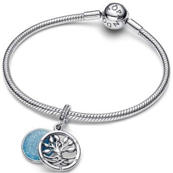 Pandora Moments 793599C01