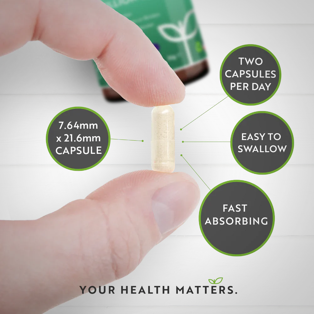 Пробиотик /синбиотик/ 30 милиарда, 21 щама /60 капсули, 60 дни/ - Feel You