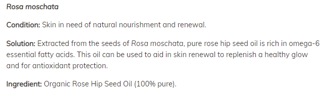 БИО МАСЛО ОТ СЕМЕНА ОТ ШИПКА - 30 мл - Feel You