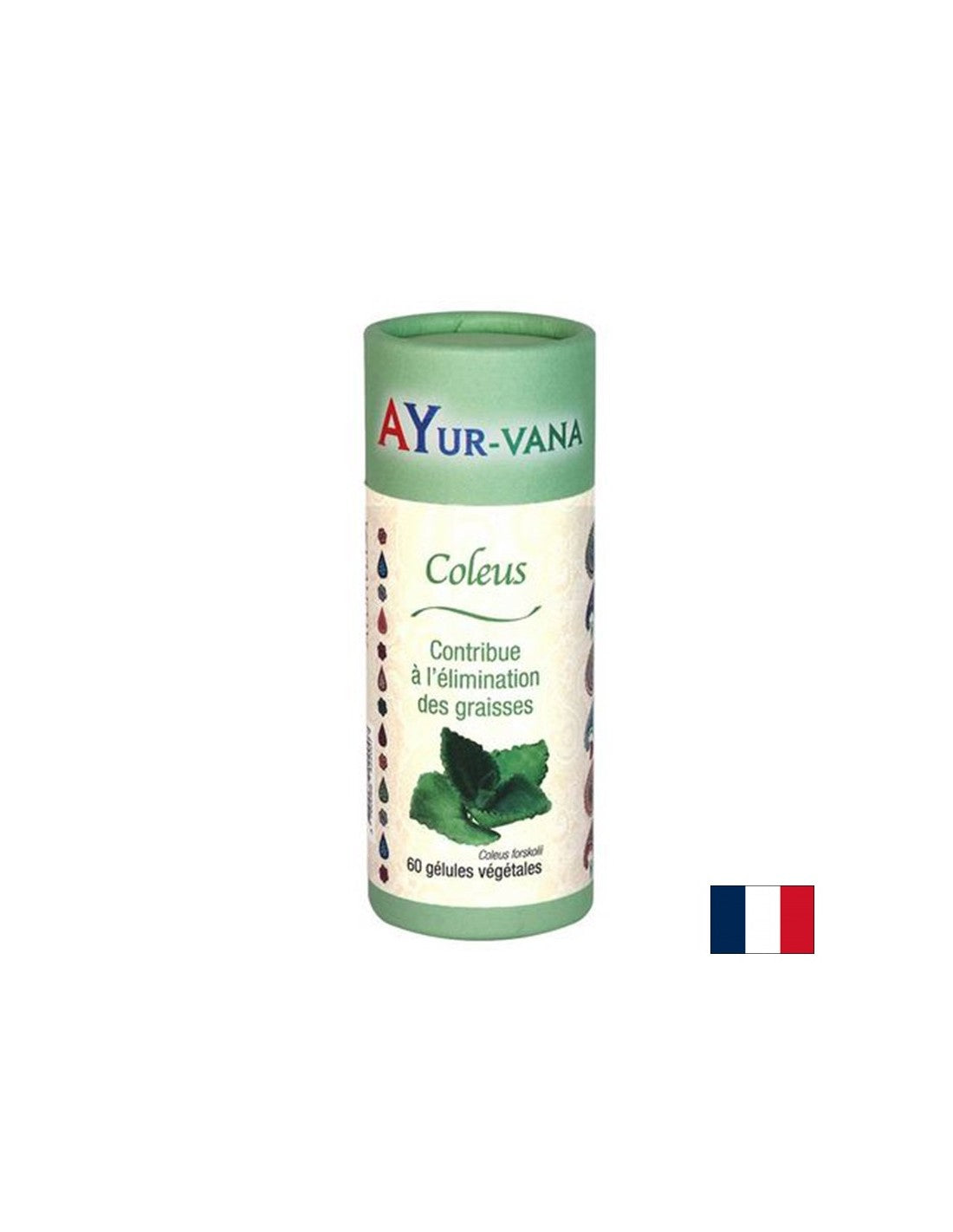 Здравословно отслабване - Колеус (форсколий), 300 mg х 60 капсули - Feel You