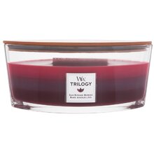 WoodWick - Sun Ripened Berries Trilogy Ship (berry ripening in the sun) - Scented candle - 453.6g