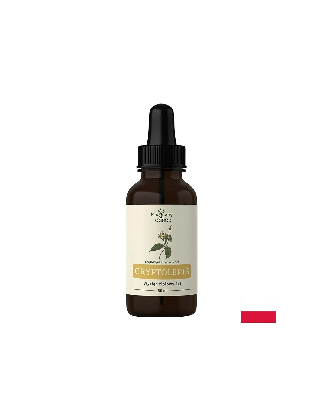 Имунитет и дихателни пътища - Криптолепис (тинктура), 50 ml - Feel You