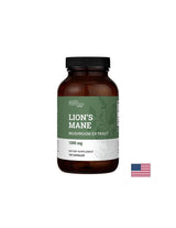 Имунитет и мозъчна функция - Лъвска грива, БИО, 500 mg х 120 капсули - Feel You