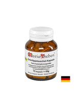 Кости и стави - Зеленоуста мида, 500 mg х 75 капсули - Feel You