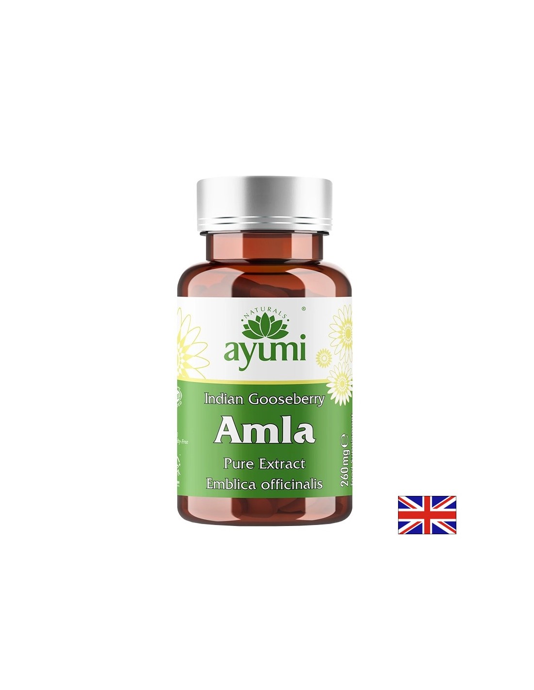 Амла – Имунна защита, храносмилателен комфорт и антиоксидантна подкрепа, 520 mg, 60 капсули - Feel You