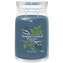 Yankee Candle - Bayside Cedar Signature Candle - 368.0g