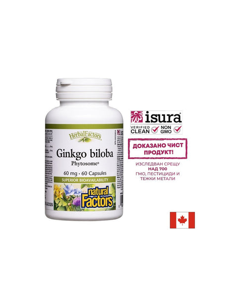 Памет и концентрация - Гинко билоба Фитозоми, 60 mg x 60 капсули - Feel You