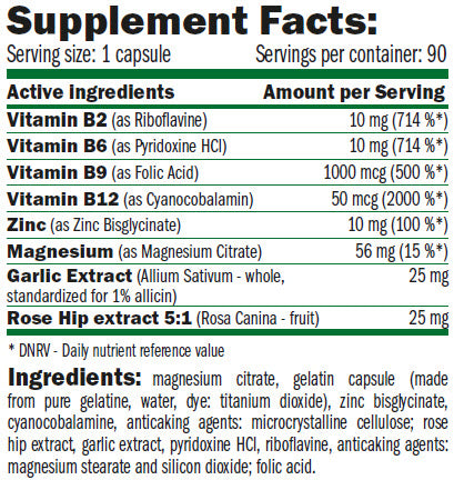 GreenDay HomoCys Block 90 caps. - Feel You