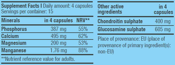Chondroitin Glucosamine /  60 Caps. - Feel You