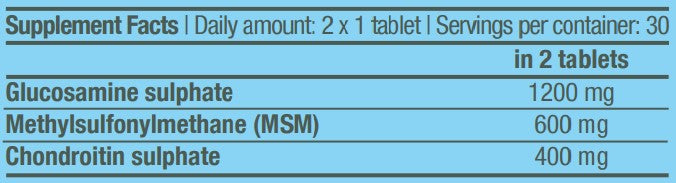 MSM Chondroitin Glucosamine / 60 Tabs - Feel You