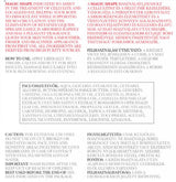 Anti-Cellulite Cream - 200 мл - Feel You