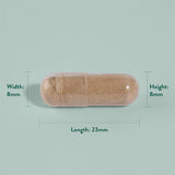 Ашваганда екстракт от корен (Ashwagandha KSM-66) 600mg 30 капсули, H&B - Feel You