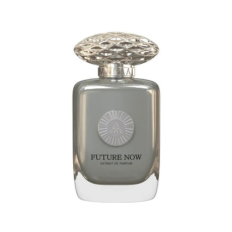 Auraa Desire, Future Now, Extrait De Parfum, Unisex, 100 ml - Feel You