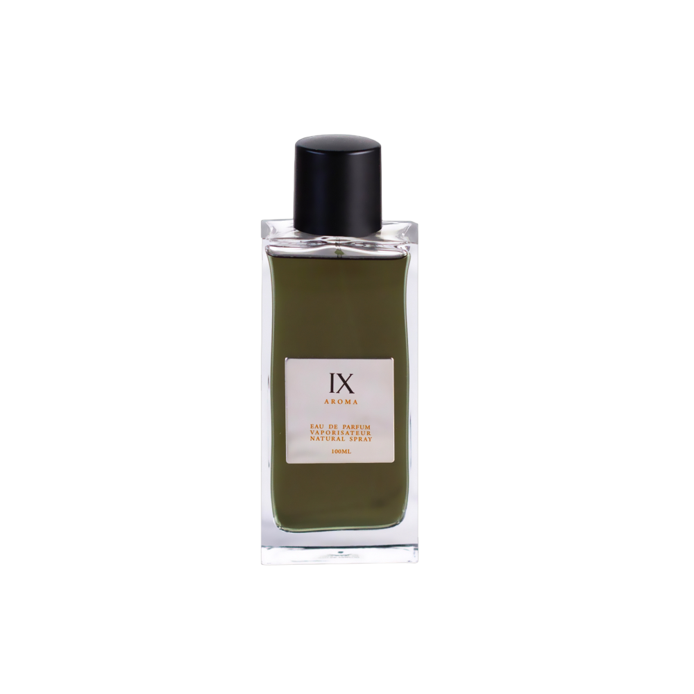 Aurora, Aroma IX, Eau De Parfum, For Men, 100 ml - Feel You