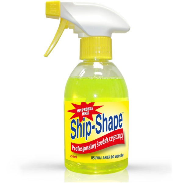 Barbicide, Ship-Shape, Professional Surface Cleaner, 250 ml - Feel You