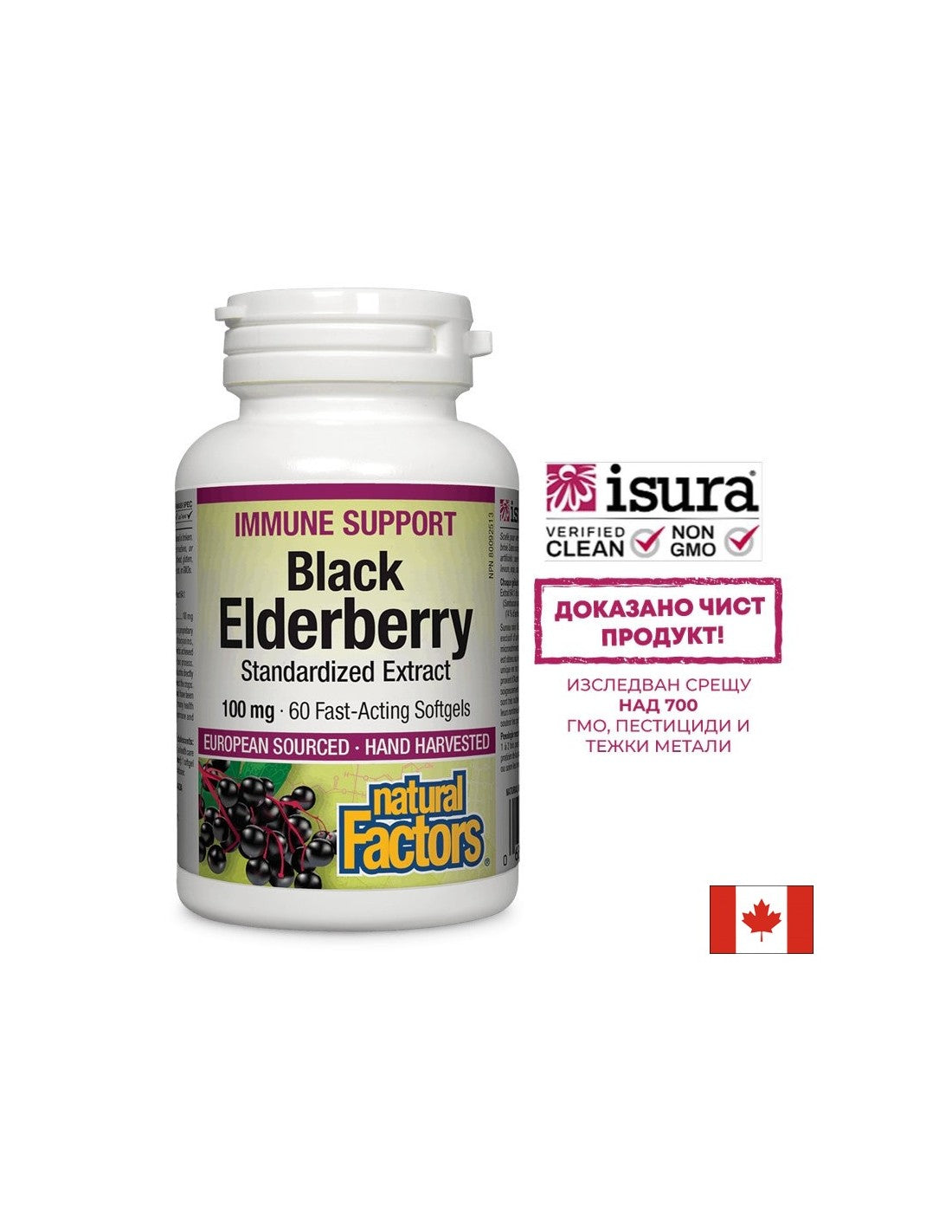 Black Elderberry Standardized Extract / Черен бъз /Стандартизиран екстракт/, 100 mg, 60 бързоусвоими софтгел капсули Natural Factors - Feel You