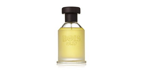 Bois 1920, Vetiver Ambrato, Eau De Toilette, Unisex, 100 ml - Feel You