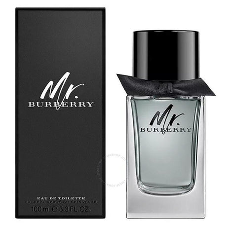 Burberry - Mr. Burberry EDT - 100ml - Feel You