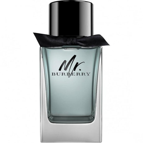 Burberry, Mr. Burberry, Eau De Toilette, For Men, 100 ml - Feel You