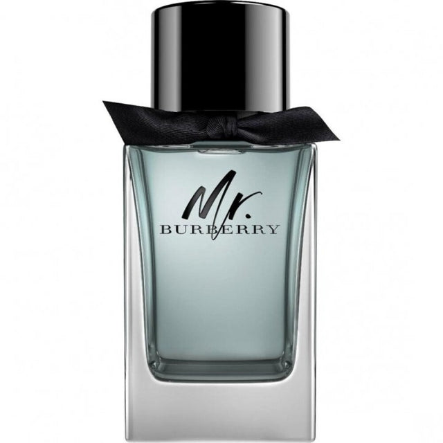 Burberry, Mr. Burberry, Eau De Toilette, For Men, 100 ml - Feel You