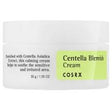 COSRX - Centella Blemish Cream - 30.0g - Feel You