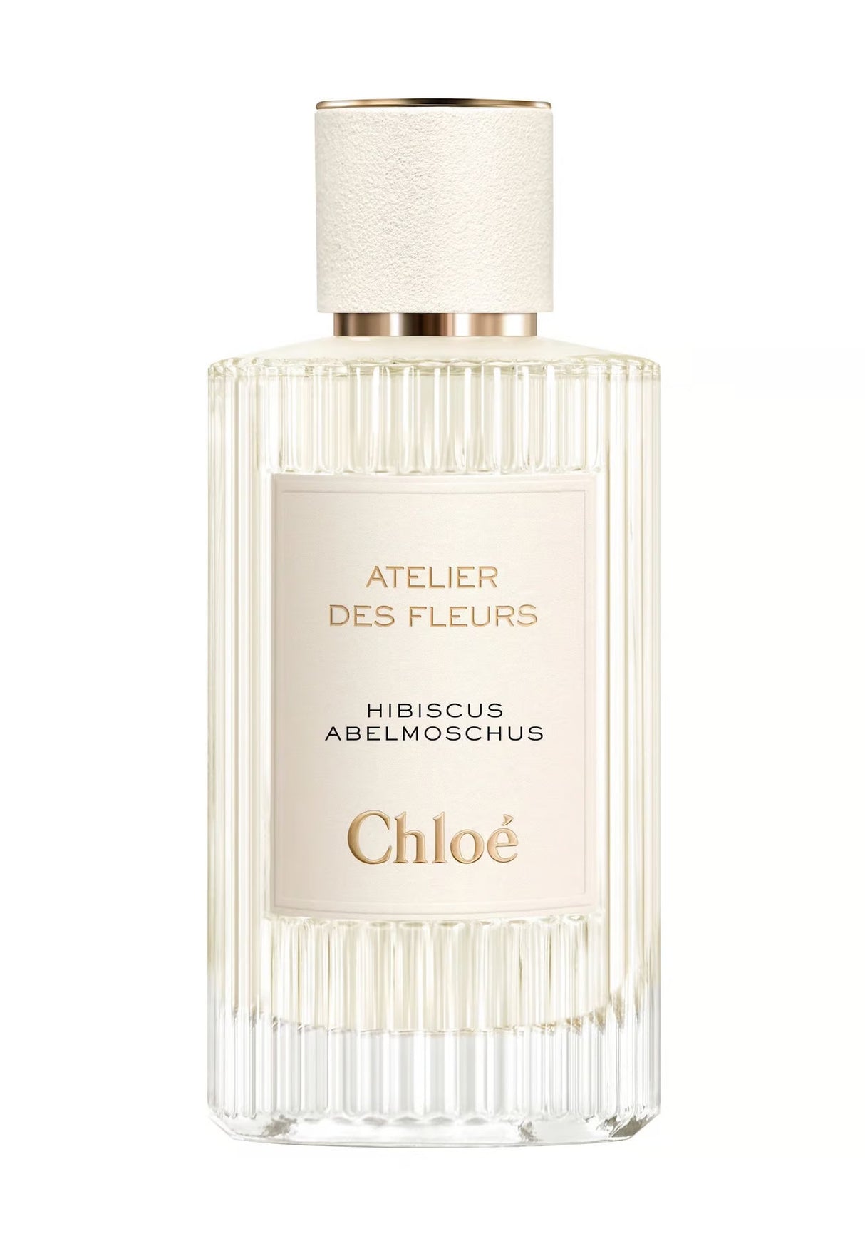 Chloe, Hibiscus Abelmoschus, Eau De Parfum, For Women, 150 ml - Feel You
